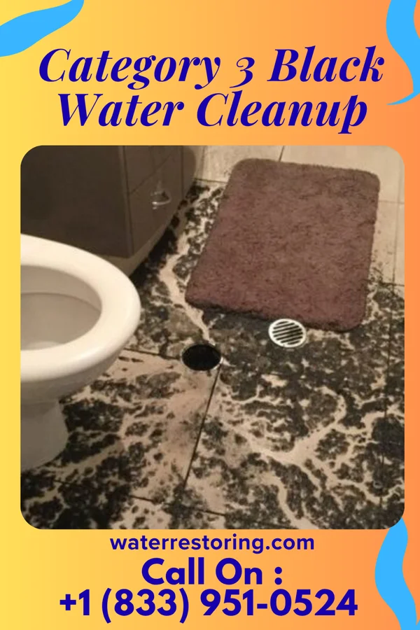 Category 3 Black Water Cleanup in Yadkinville, NC