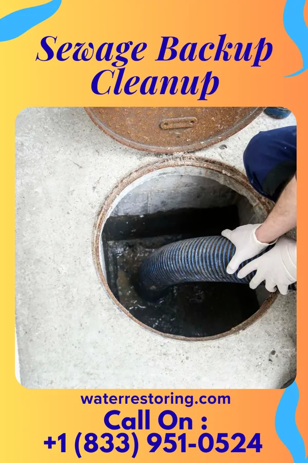 Sewage Backup Cleanup in Yadkinville, NC